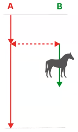 img_3.png